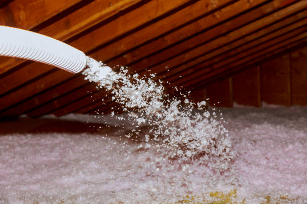 Best Garage Insulation Installation  in Sheridan, IL