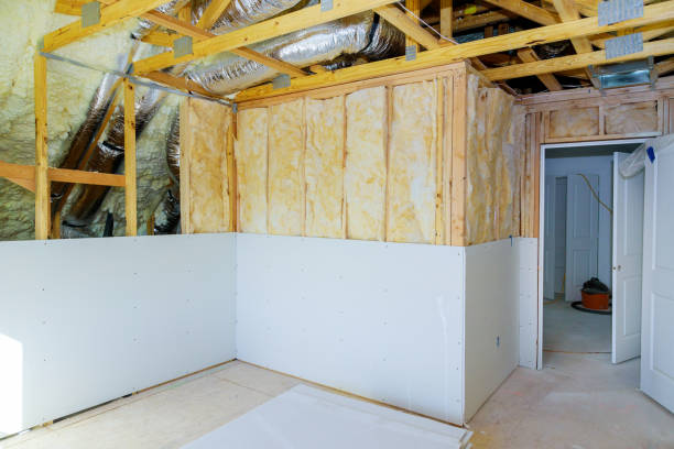 Best Insulation Contractors for Homes  in Sheridan, IL