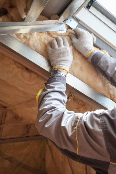 Best Garage Insulation Installation  in Sheridan, IL