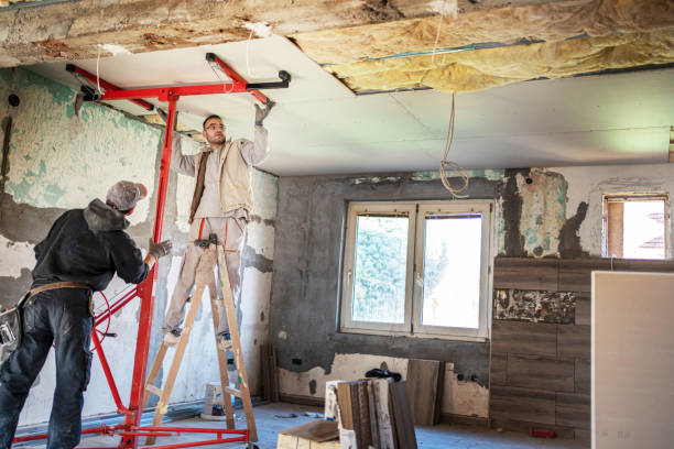 Best Professional Insulation Contractor  in Sheridan, IL