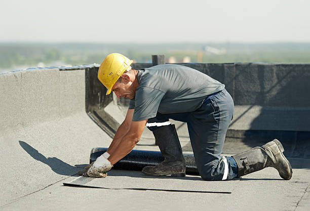 Best Local Insulation Services  in Sheridan, IL