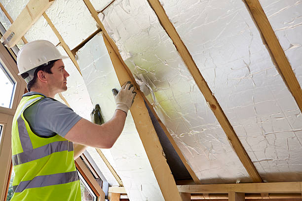 Best Fiberglass Insulation  in Sheridan, IL