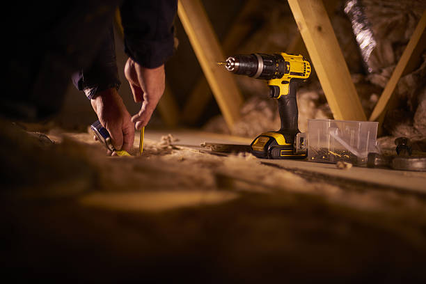 Best Insulation Removal Services  in Sheridan, IL
