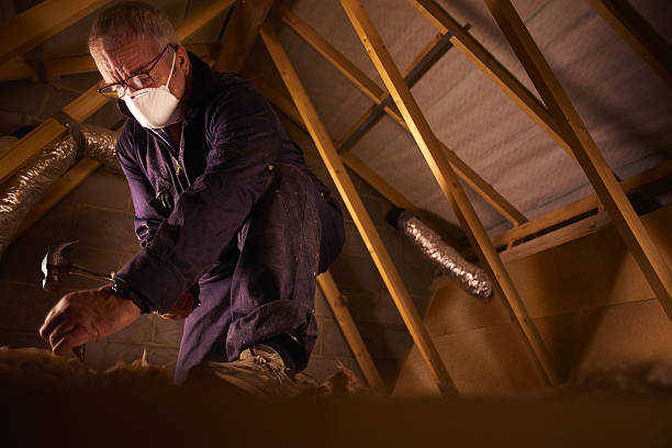 Best Energy-efficient Insulation  in Sheridan, IL