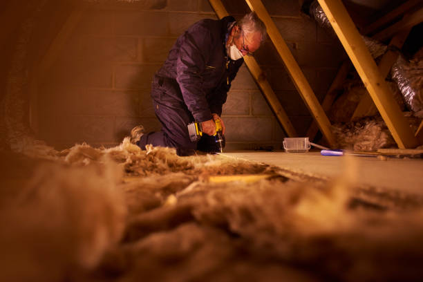 Best Attic Insulation Installation  in Sheridan, IL